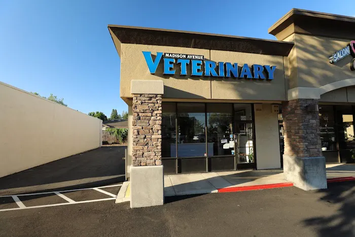Madison Avenue Veterinary Clinic Picture 10