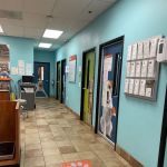 Banfield Pet Hospital