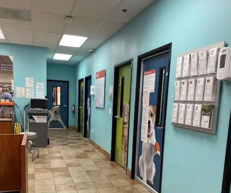 Banfield Pet Hospital