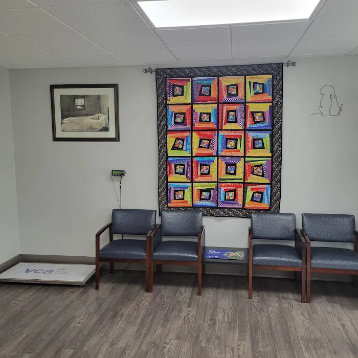 VCA Greenback Animal Hospital Picture 8