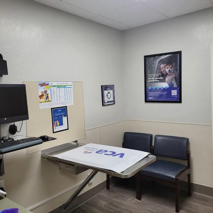 VCA Greenback Animal Hospital Picture 7