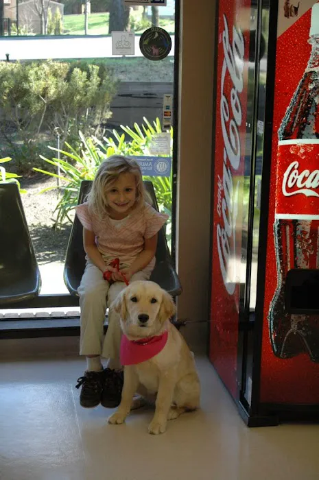 VCA Greenback Animal Hospital Picture 6
