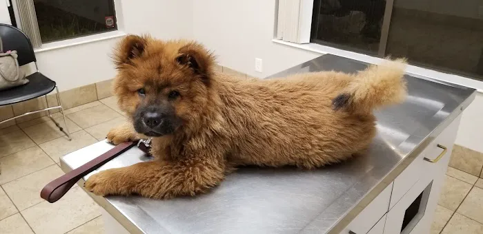 Gold River Pet Hospital Picture 7