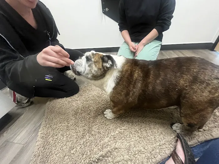 Heartfelt Animal Care Picture 1
