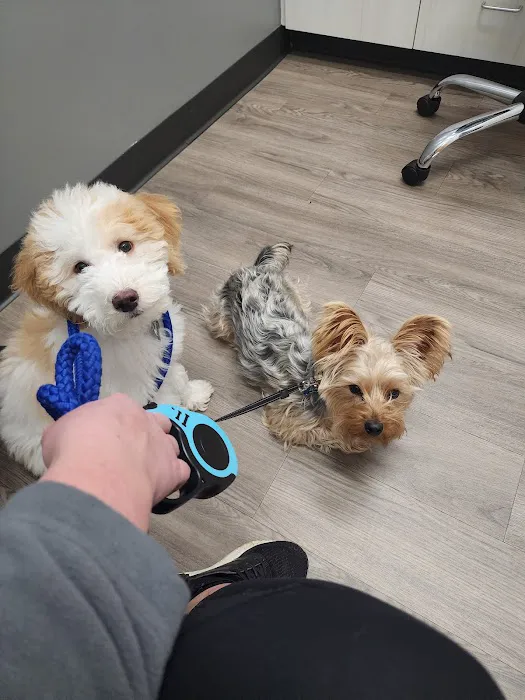 Heartfelt Animal Care Picture 4