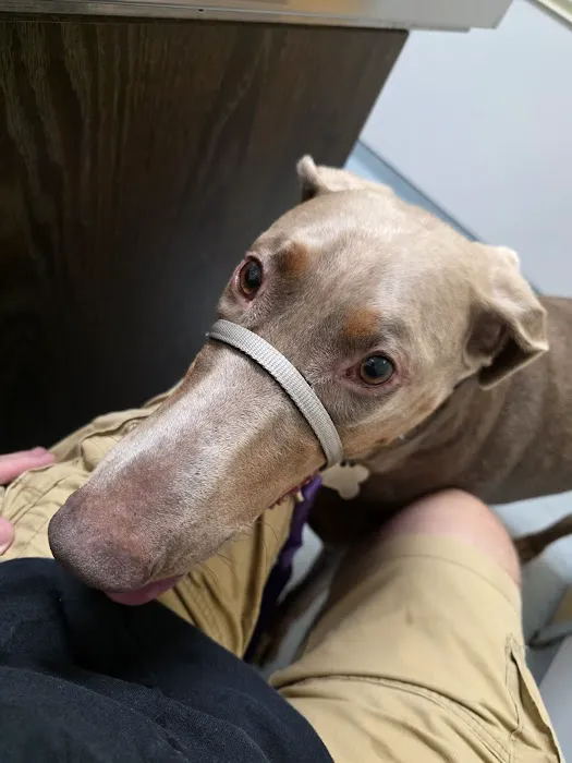 Highlands Veterinary Center Picture 1