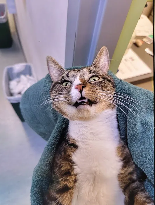 Highlands Veterinary Center Picture 7