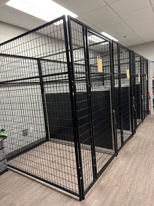 Unleashed Veterinary Urgent Care Picture 10