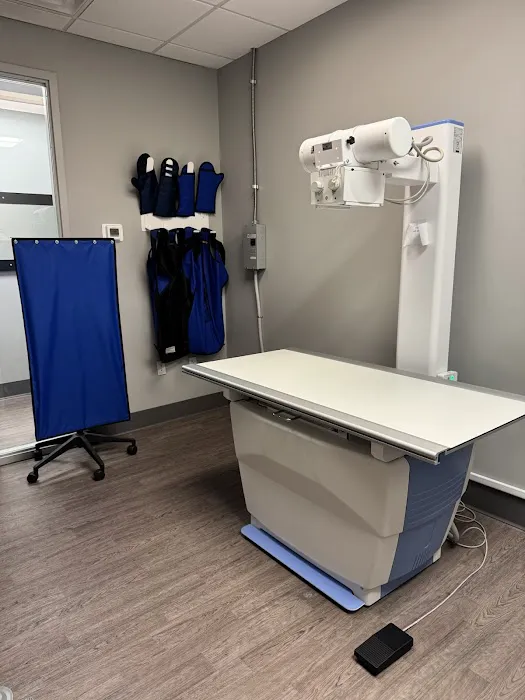 Unleashed Veterinary Urgent Care Picture 3