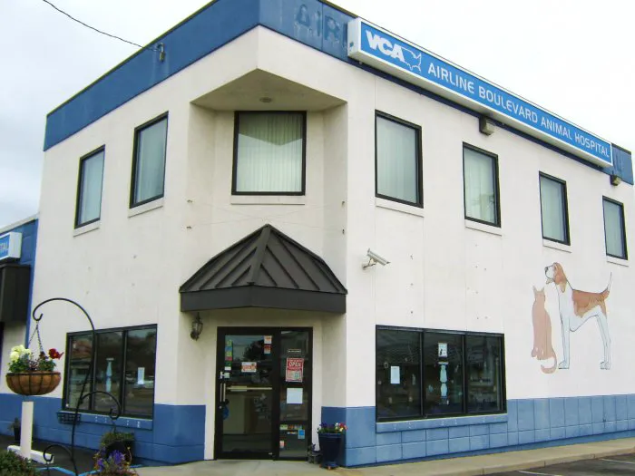 VCA Airline Boulevard Animal Hospital Picture 9