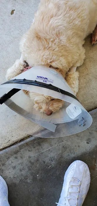 West LA Veterinary Group Picture 8