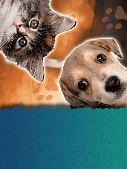 Value Vet Inc. Picture 8