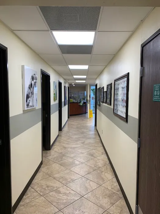 Value Vet Inc. Picture 1
