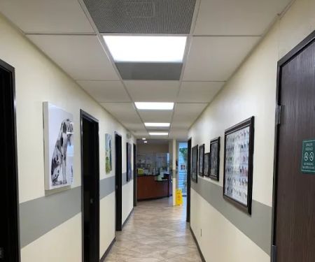 Value Vet Inc.