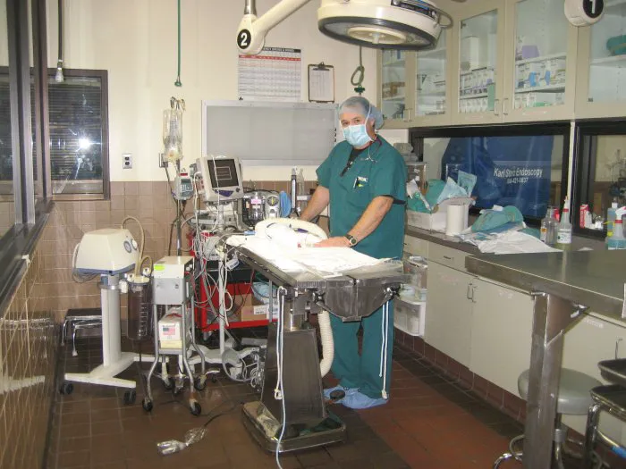 VCA West Los Angeles Animal Hospital Picture 4