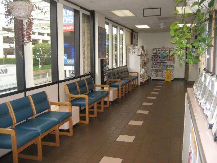VCA West Los Angeles Animal Hospital Picture 5