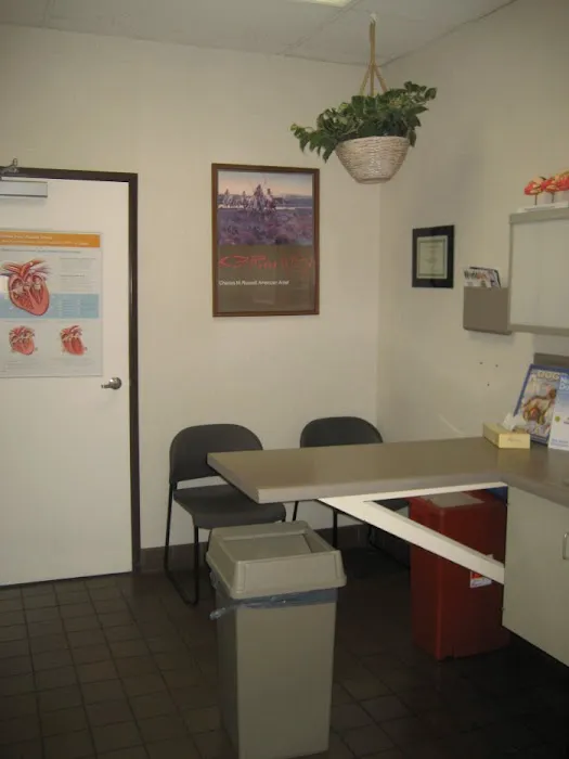 VCA West Los Angeles Animal Hospital Picture 8