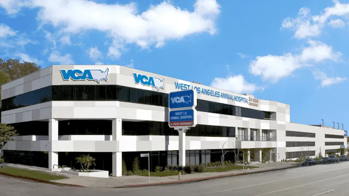VCA West Los Angeles Animal Hospital Picture 10