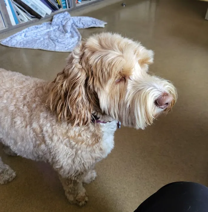 Pasternak Veterinary Center Picture 1