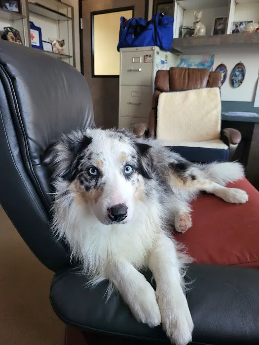 Pasternak Veterinary Center Picture 10