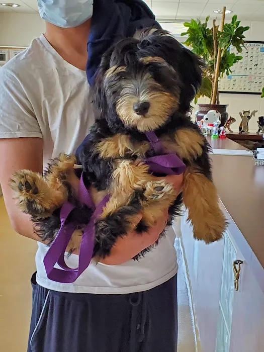Pasternak Veterinary Center Picture 6