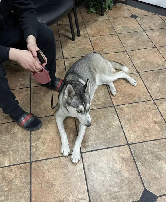 VCA Animal Medical Center of Southern California Picture 2