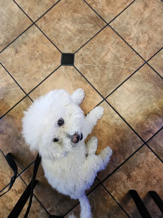 VCA Animal Medical Center of Southern California Picture 3