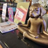 VCA Animal Medical Center of Southern California ico