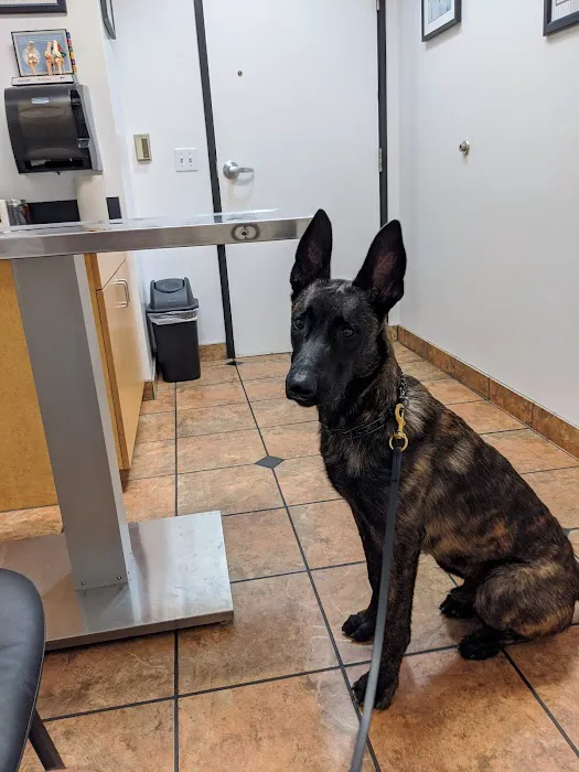 VCA Animal Medical Center of Southern California Picture 9