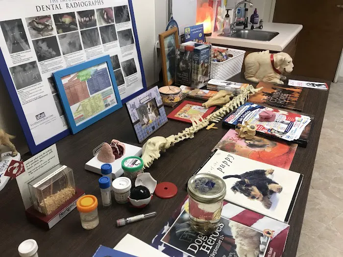 Marina Veterinary Center Picture 10