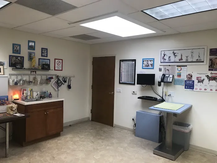Marina Veterinary Center Picture 6