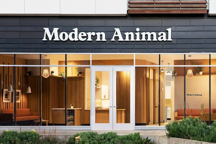 Modern Animal Picture 4