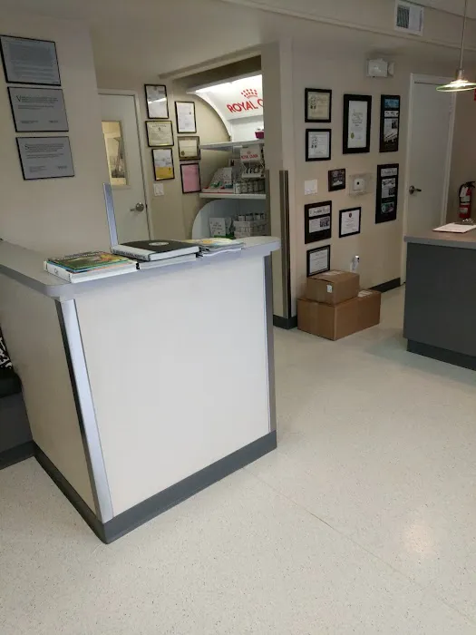 El Segundo Animal Hospital Picture 1