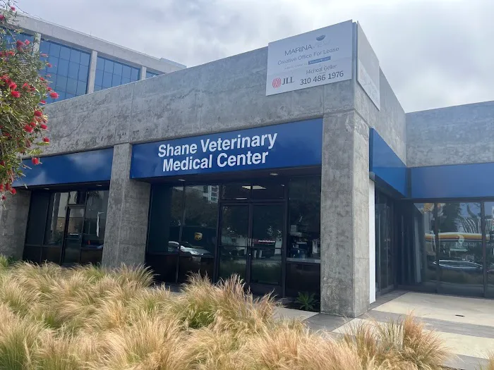 Shane Veterinary Medical Center Picture 4