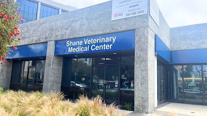 Shane Veterinary Medical Center Picture 10