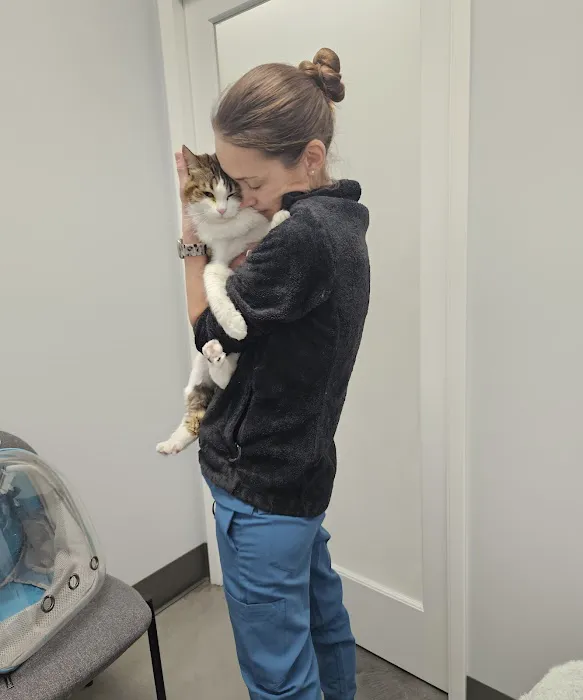 The Cat Hospital Picture 1