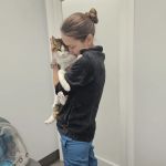 The Cat Hospital