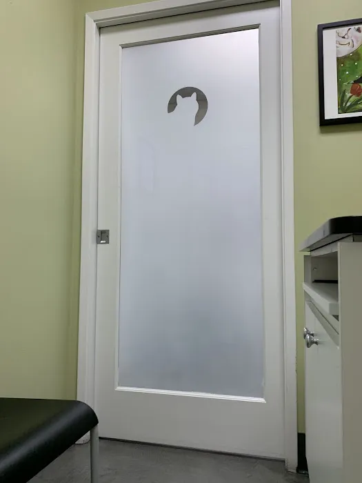 The Cat Hospital Picture 7