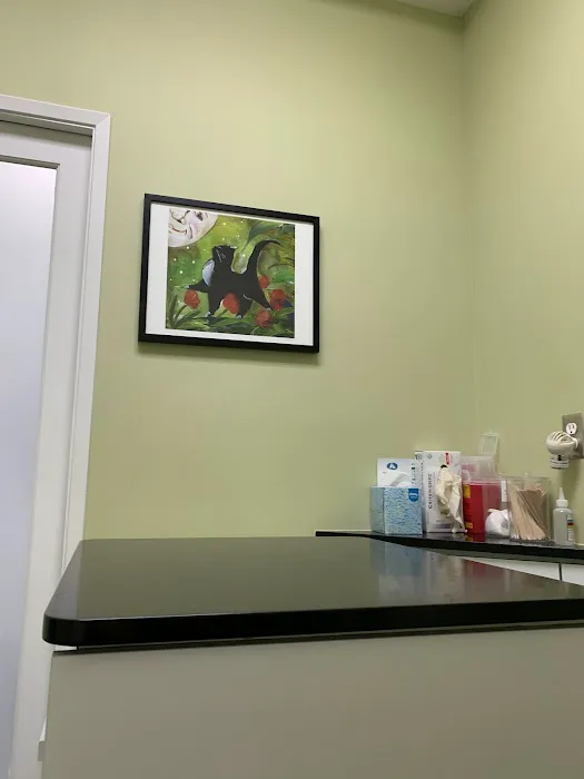 The Cat Hospital Picture 8