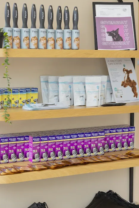 Papaya Veterinary Care - Culver City Picture 8
