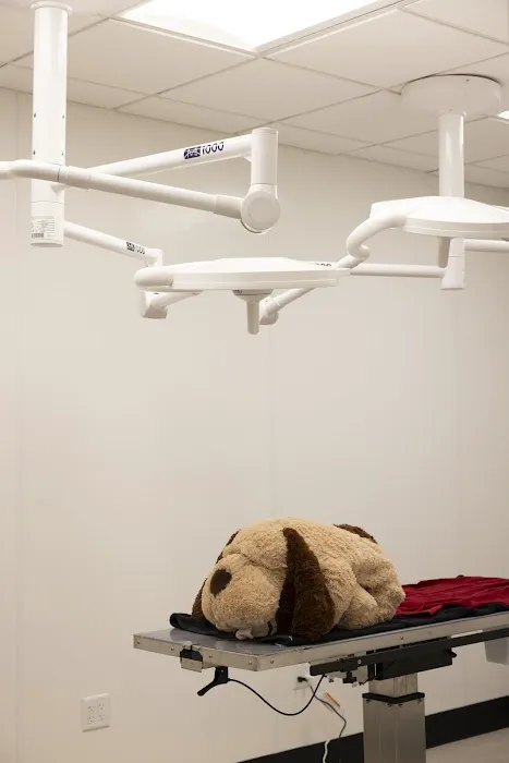 Papaya Veterinary Care - Culver City Picture 5