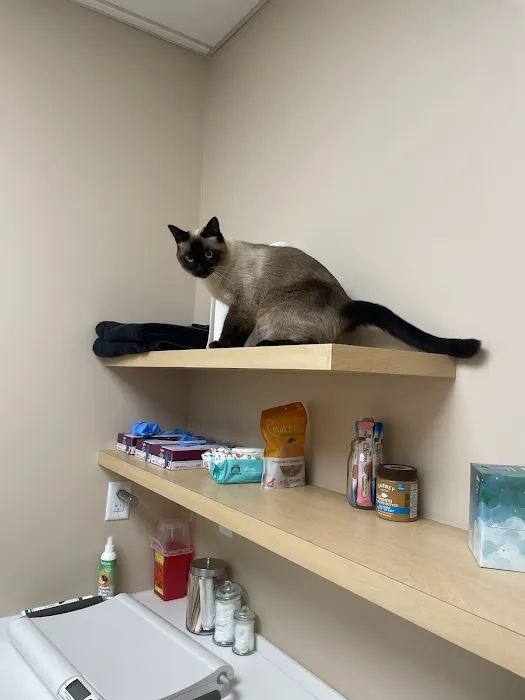 Papaya Veterinary Care - Culver City Picture 1