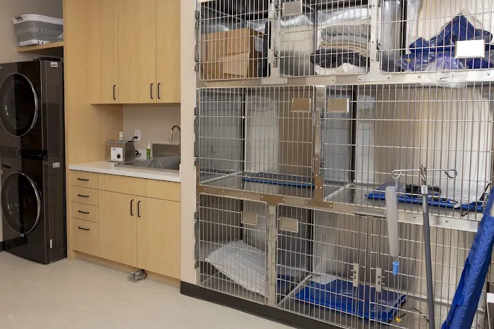 Papaya Veterinary Care - Culver City Picture 9