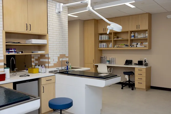 Papaya Veterinary Care - Culver City Picture 10
