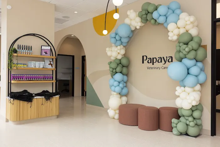 Papaya Veterinary Care - Culver City Picture 2