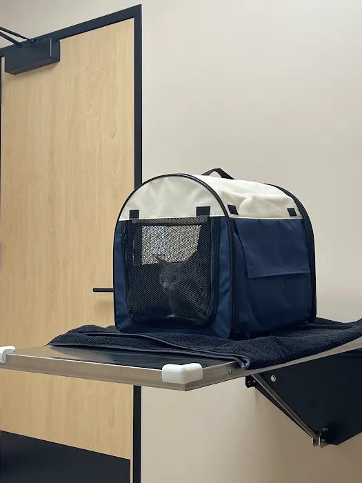 Papaya Veterinary Care - Culver City Picture 7