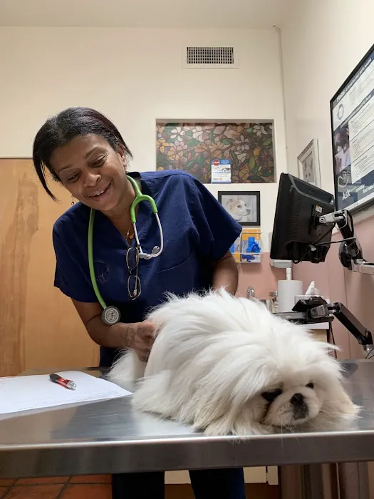 Culver Palms Animal Hospital Picture 3