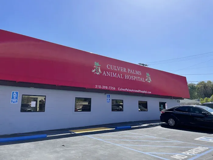 Culver Palms Animal Hospital Picture 4
