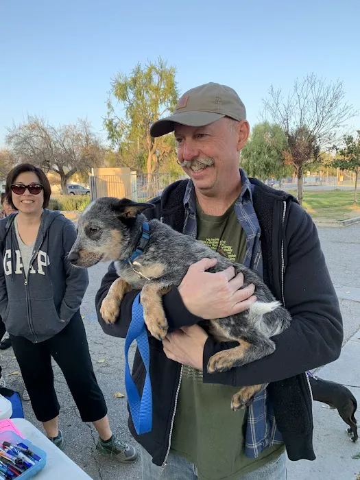 Low Cost Pet Vaccines Culver City at the Boneyard Dog Park Picture 4