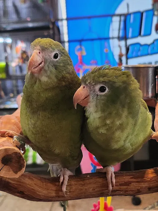 Avian & Exotic Animal Hospital Picture 9